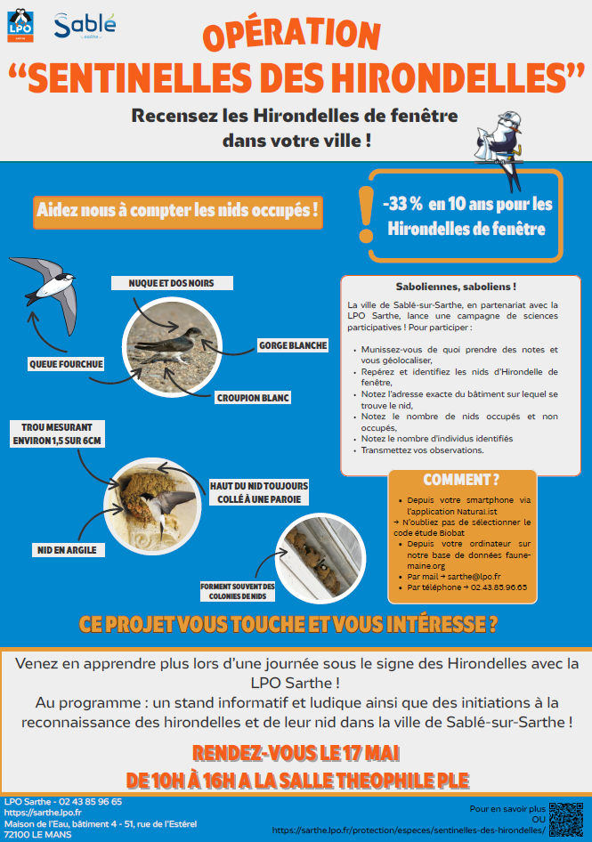 2025 05 13 Affiche sentinelles LPO 17 mai 2025
